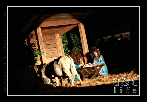 jesseblog-015 jesseblog-015